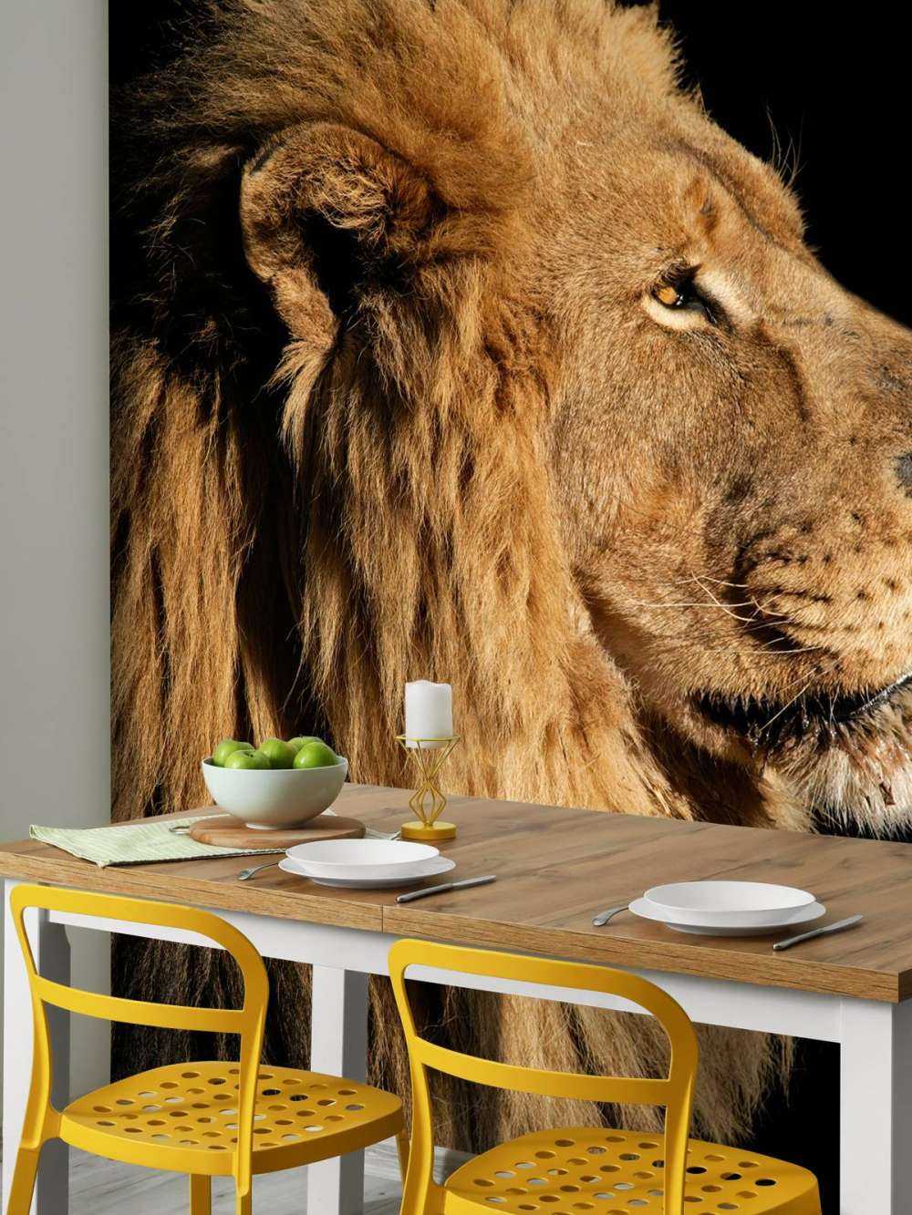 Profilo laterale di un leone