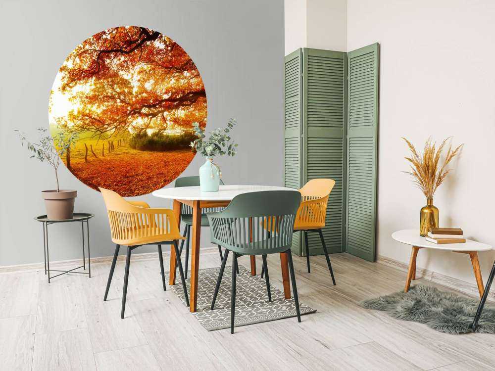 Paesaggio autunnale con bosco e prato