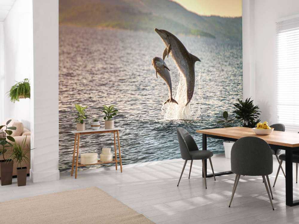 Due delfini che saltano