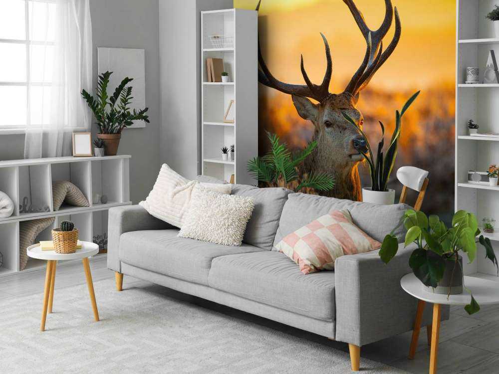 Cervi nella riserva naturale