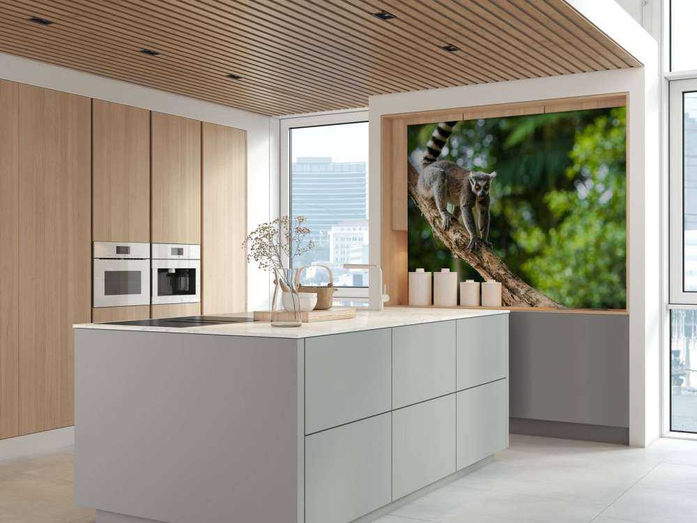 Scimmia dalla coda ad anelli su un albero