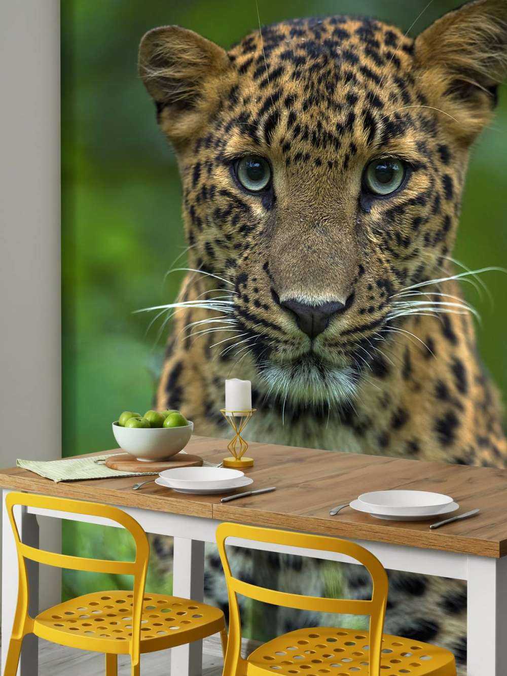 Focalizzato leopardo