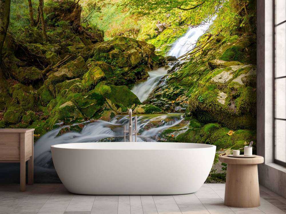 Cascata in mezzo alla foresta