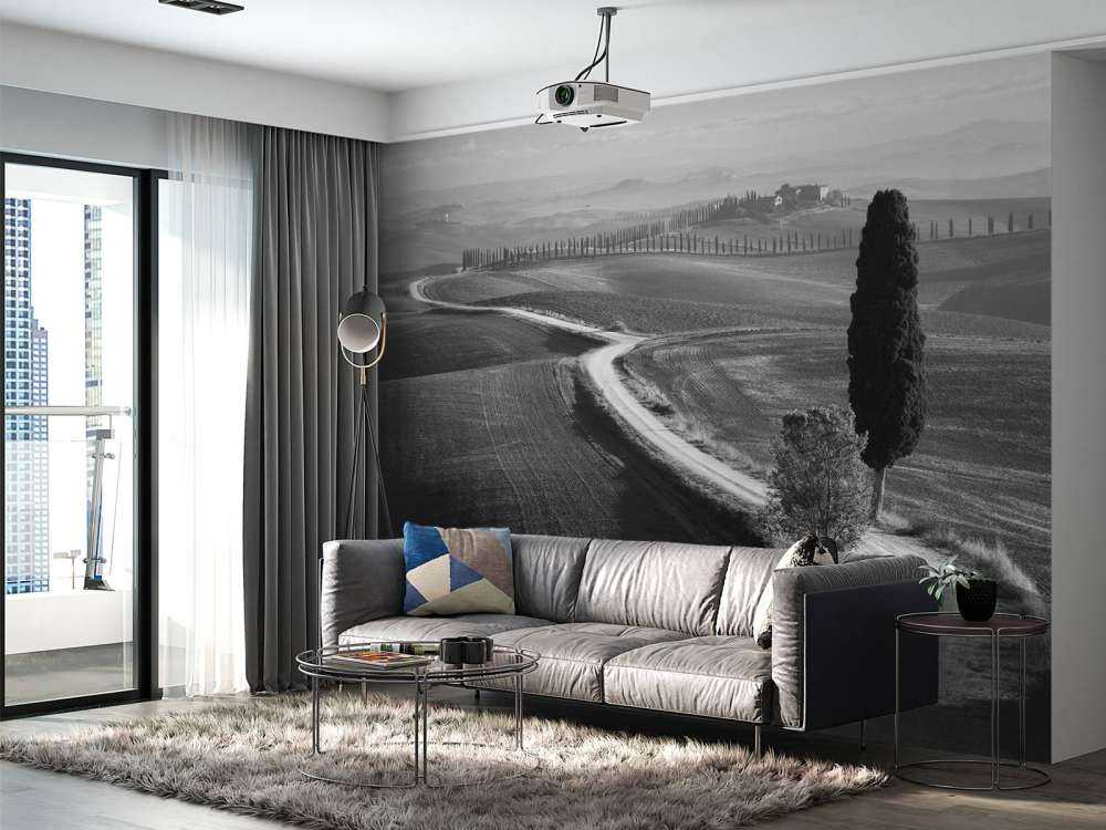 Morning in the field