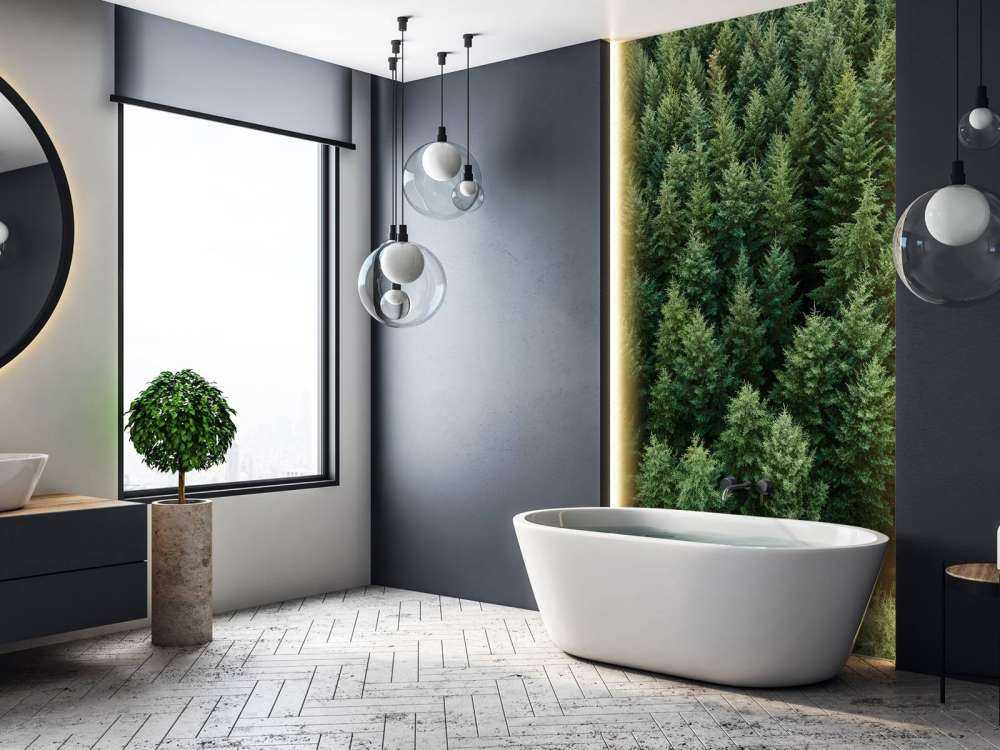 Abeti di Douglas dall'alto