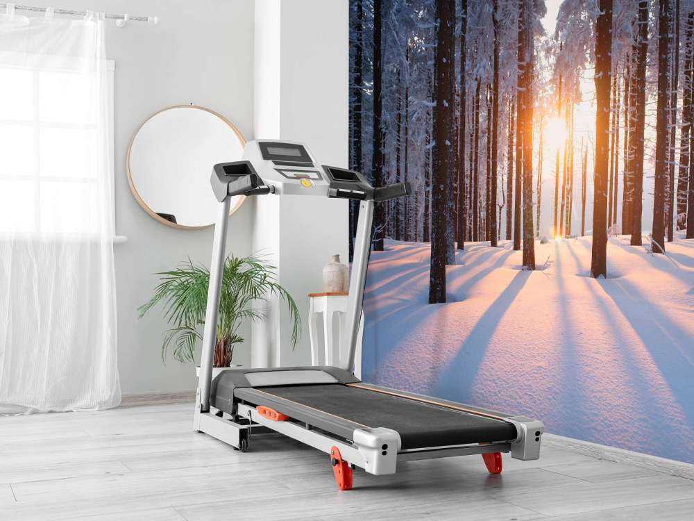 Tramonto in una foresta invernale