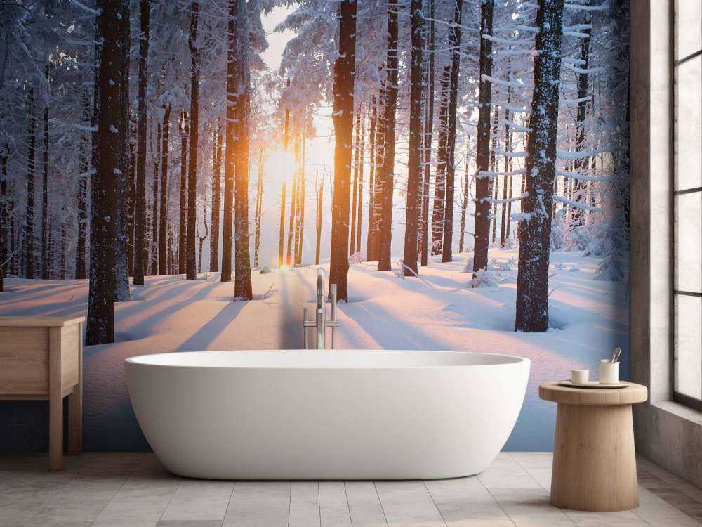 Tramonto in una foresta invernale