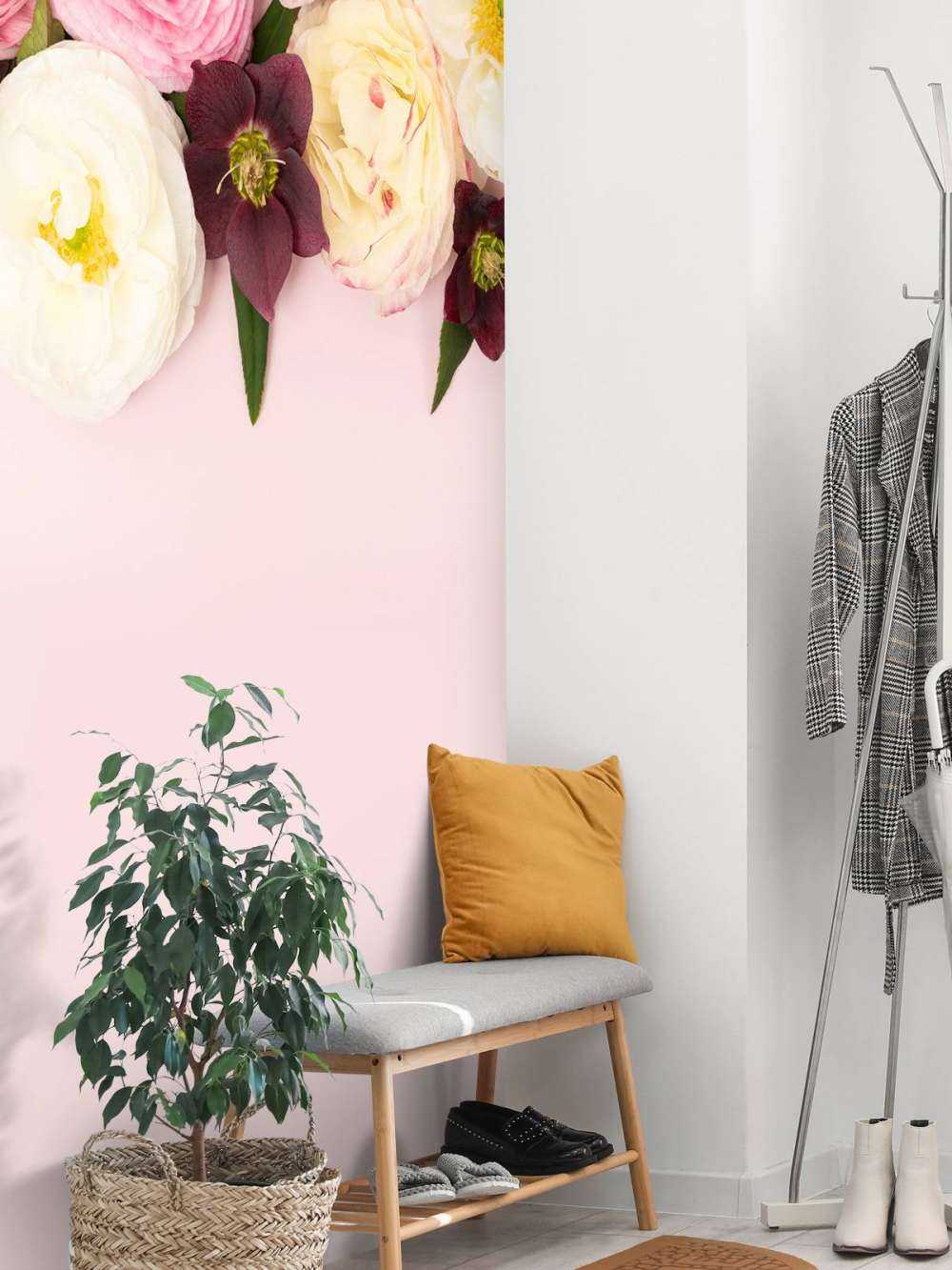 Flores de diferentes colores