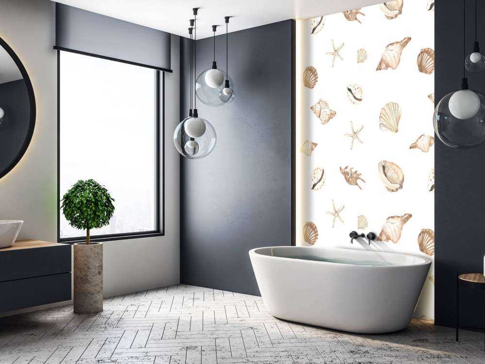 Acquerello conchiglie