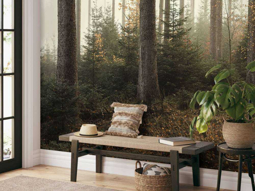 La foresta di Kaufunger