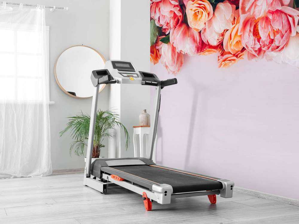 Rosas en diferentes tonos de rosa