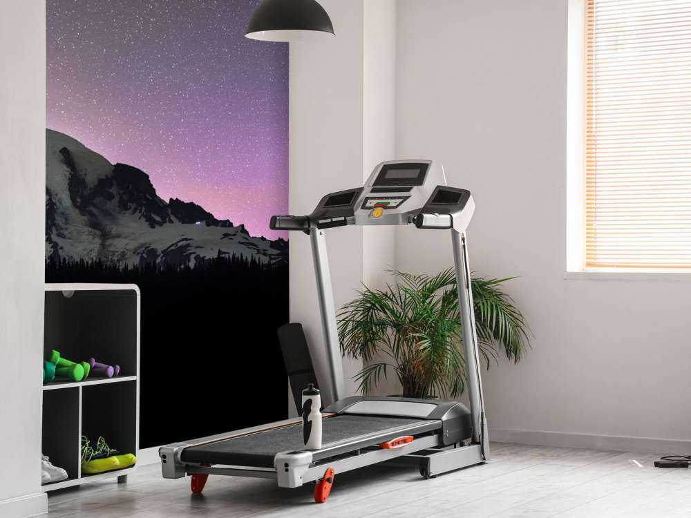 Monte Rainier con l'aurora boreale