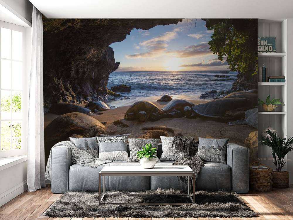 Tartarughe in una grotta