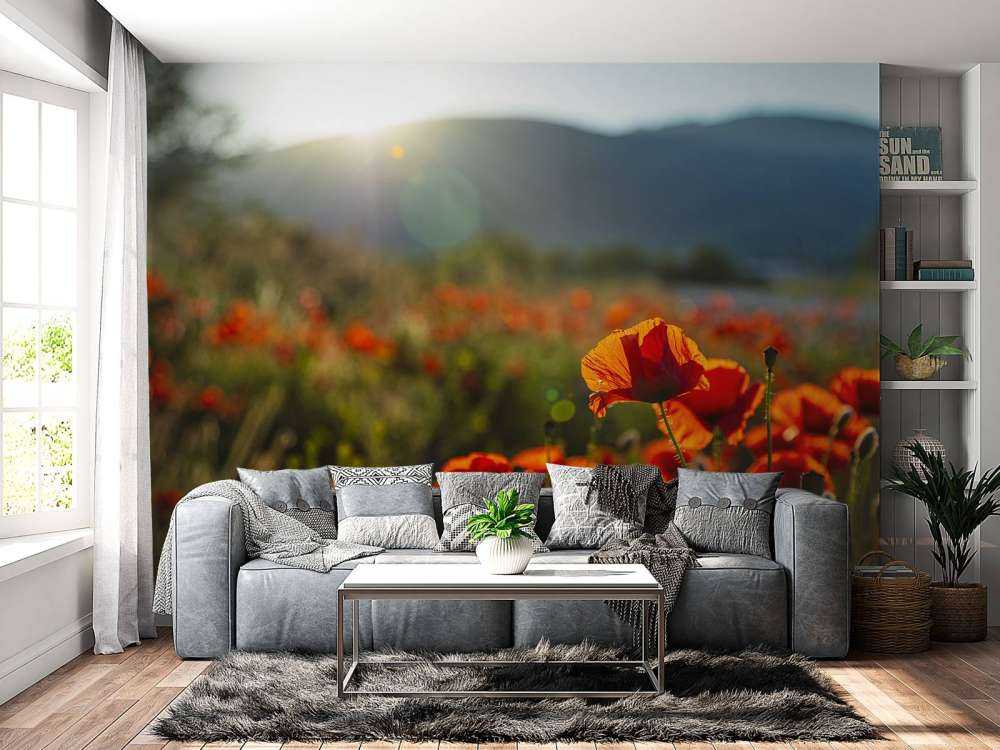 Papaveri con raggi di sole