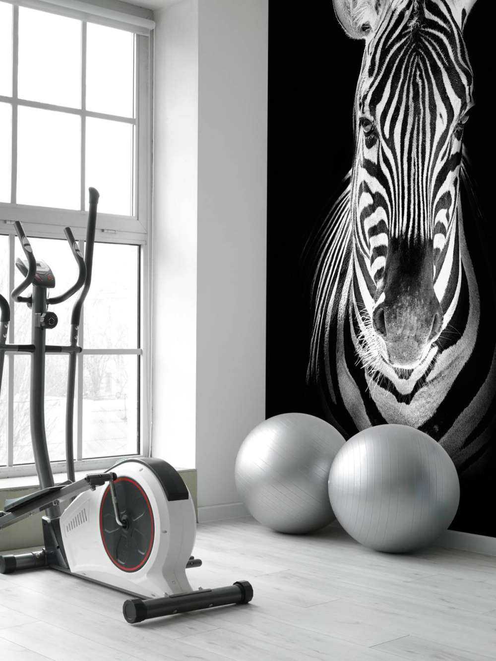 Close-up zebra in bianco e nero