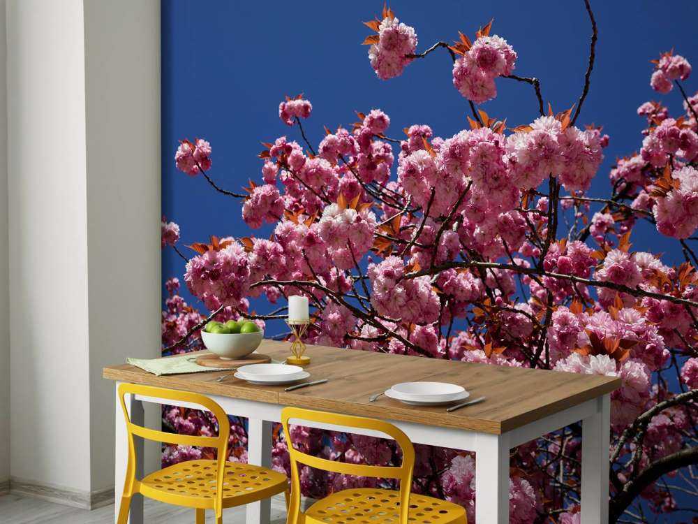 Fiore rosa con cielo blu