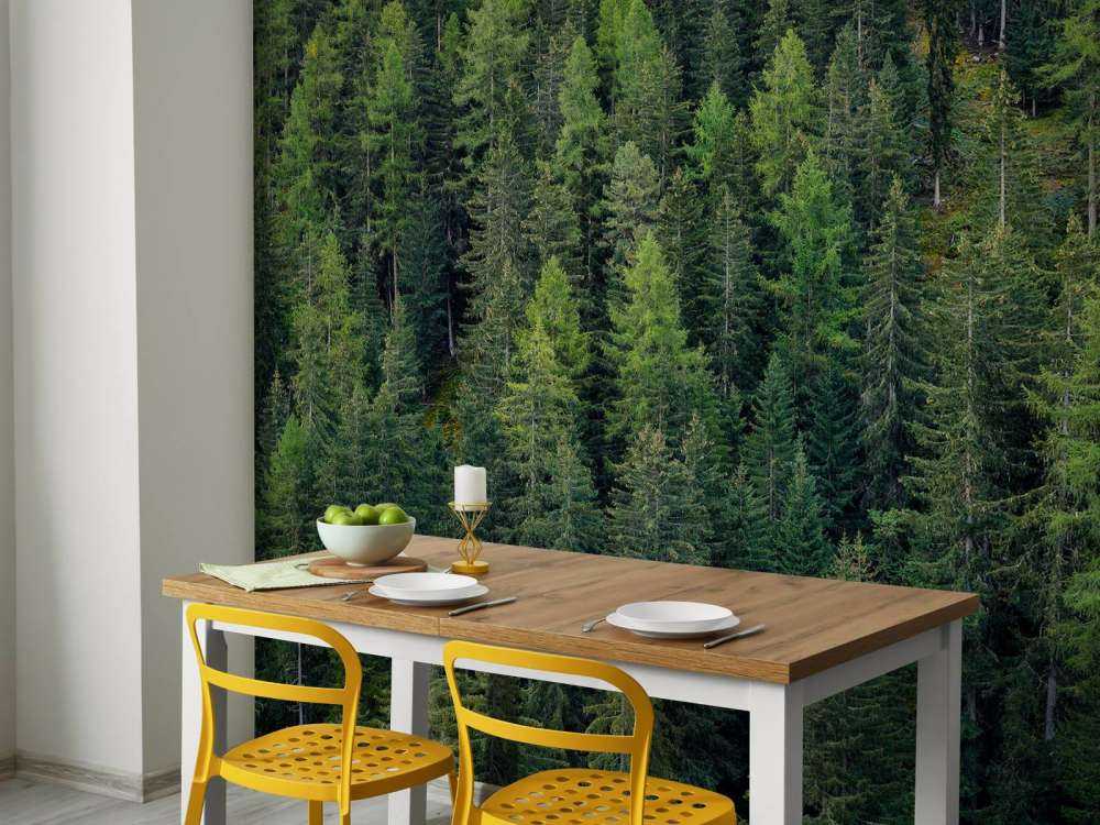 Foresta di abete verde