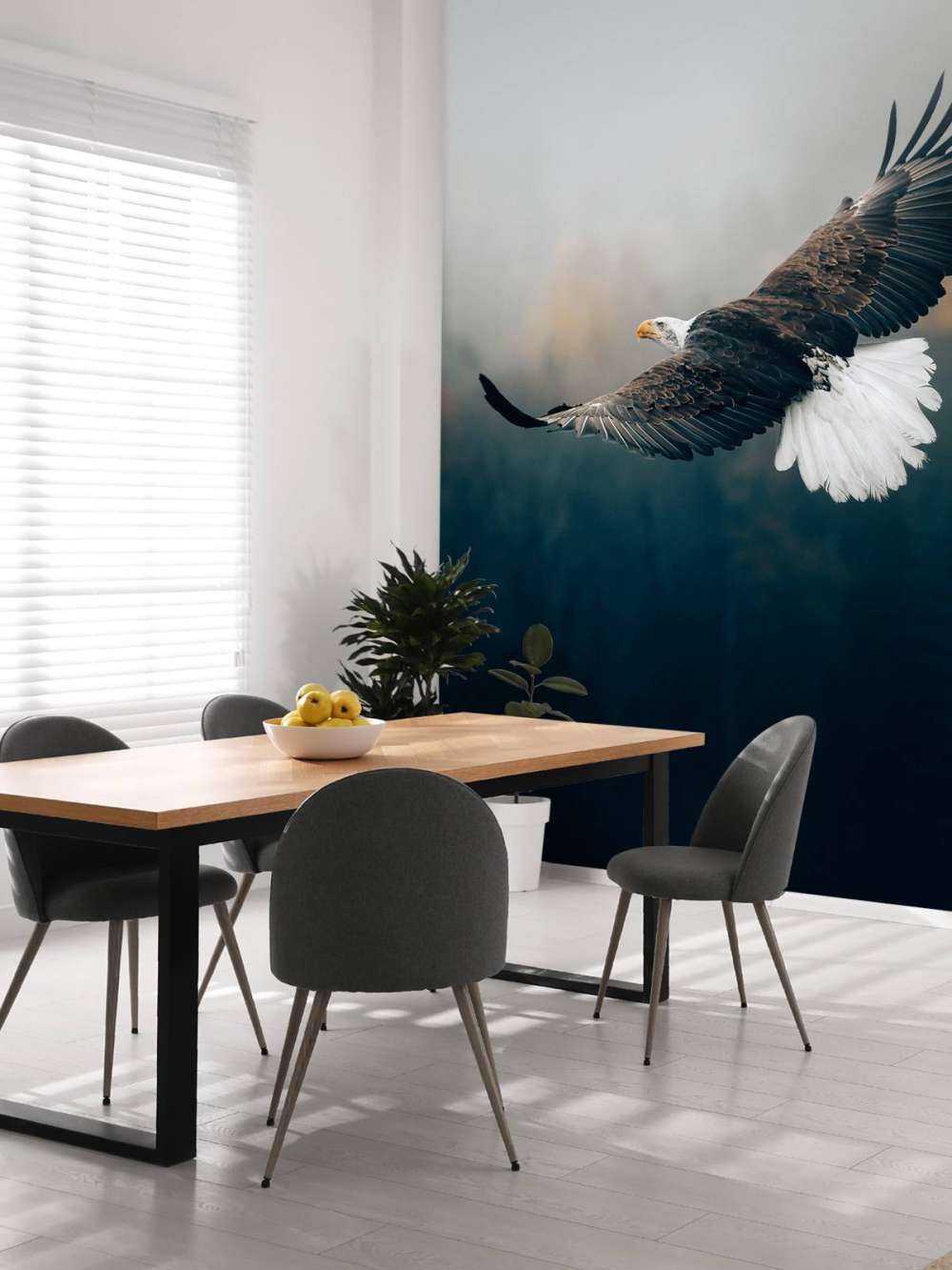 Aquila calva sopra la foresta