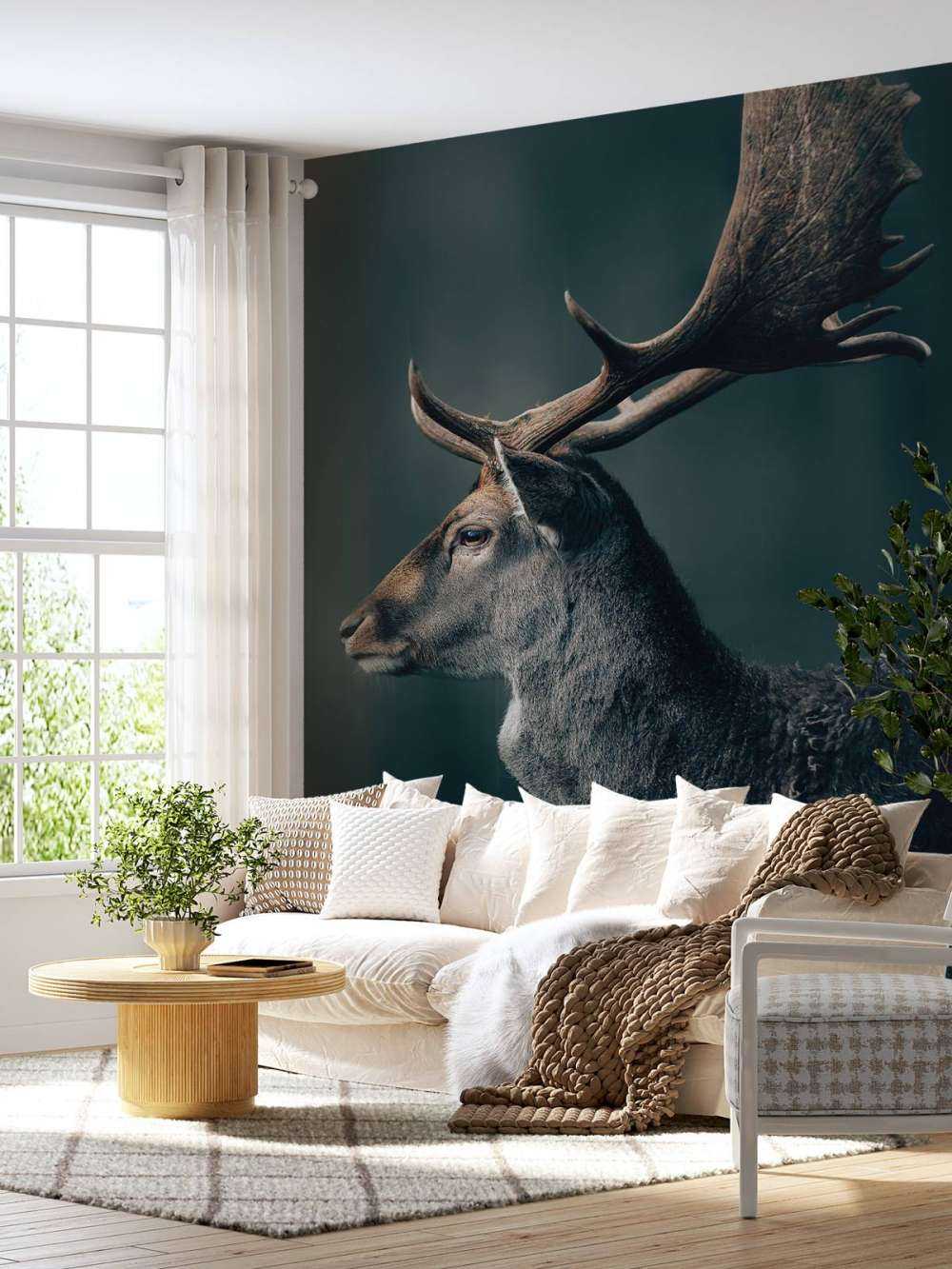 Cervo daino in primo piano