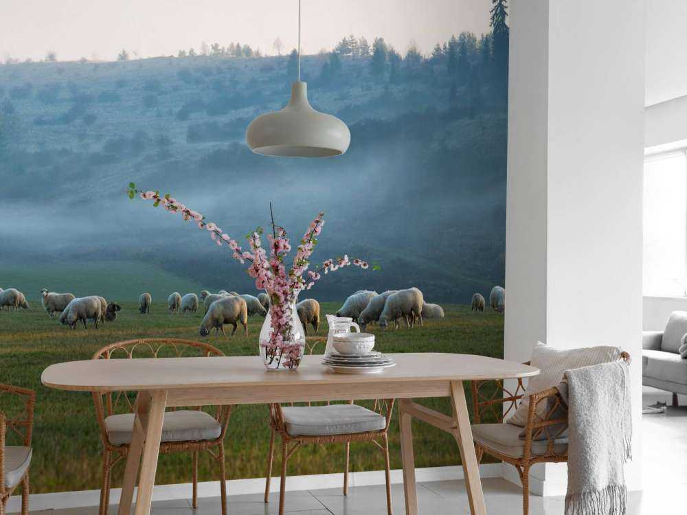 Gregge di pecore con paesaggio nebbioso