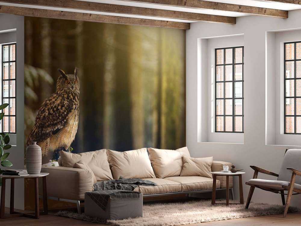 Gufo in foresta innevata