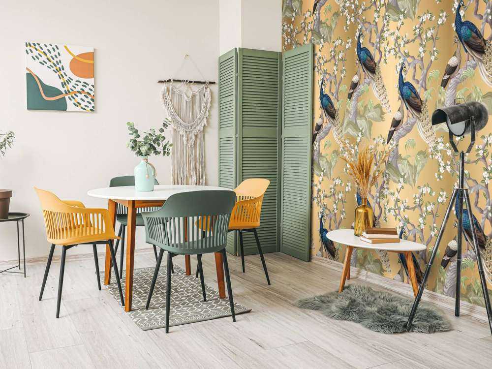 Sussurri di Pavone in un'Oasi