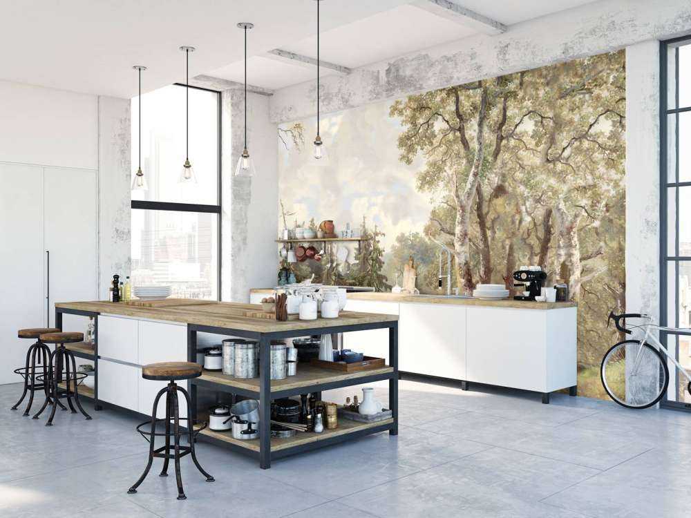 Paesaggio Forestale Colore #1