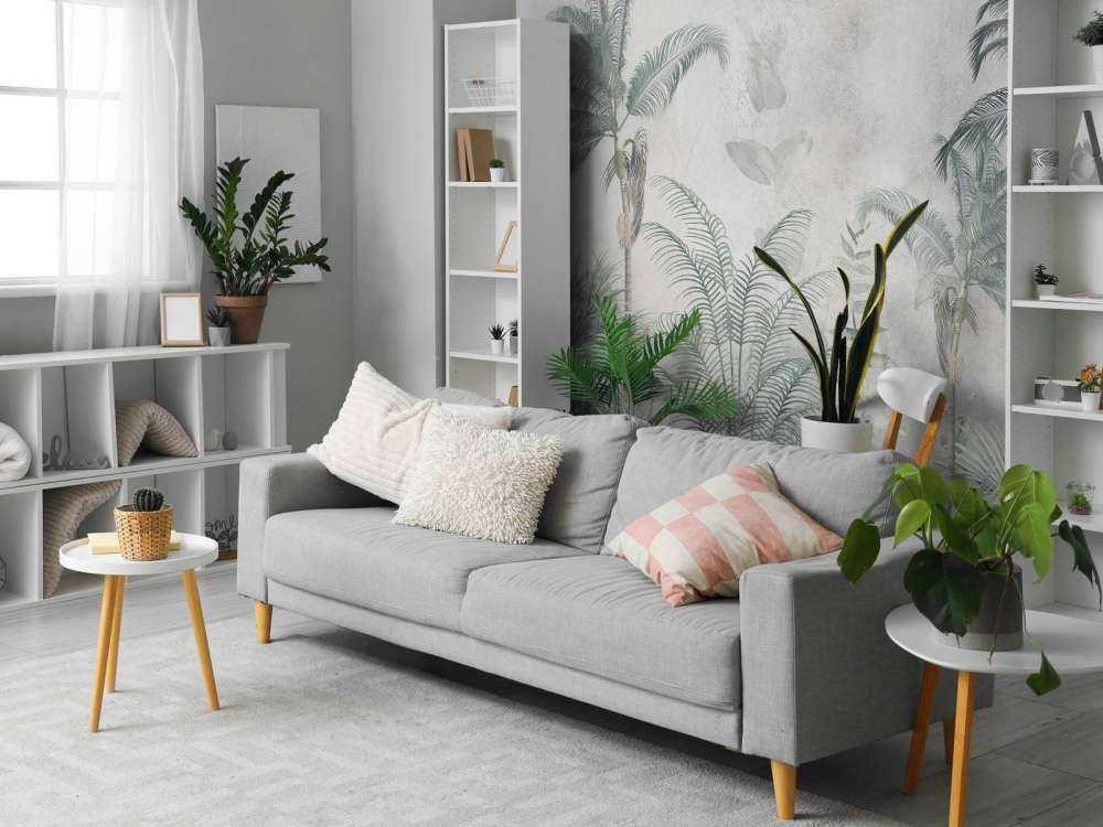 Paradiso Tropicale Nebbioso