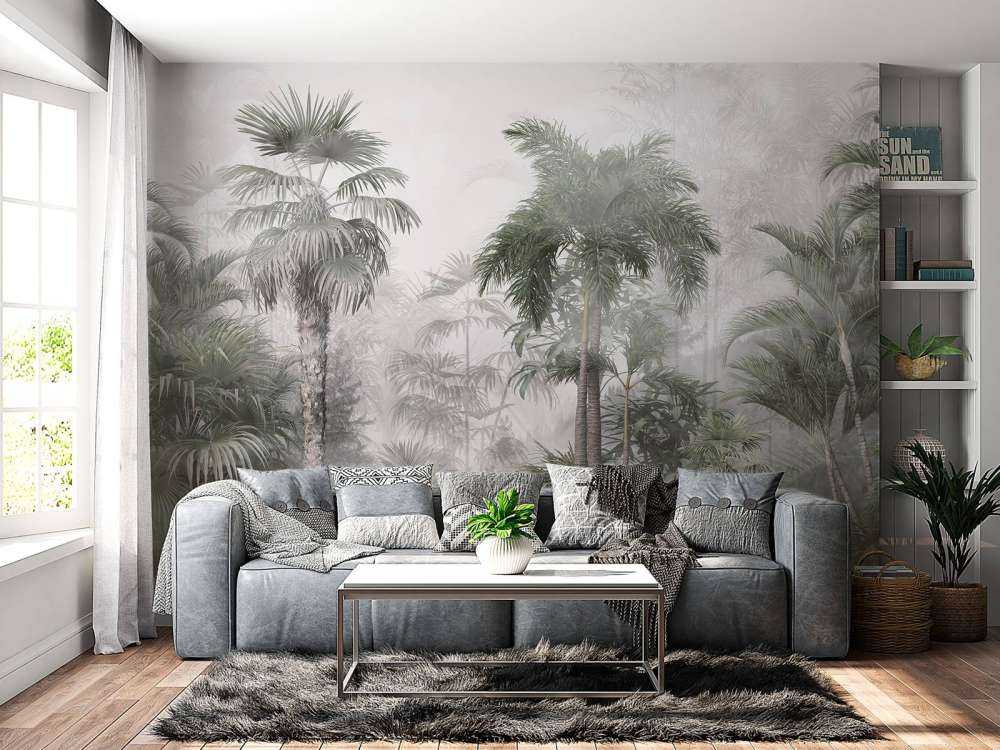 Nebbia Mattutina nei Tropici