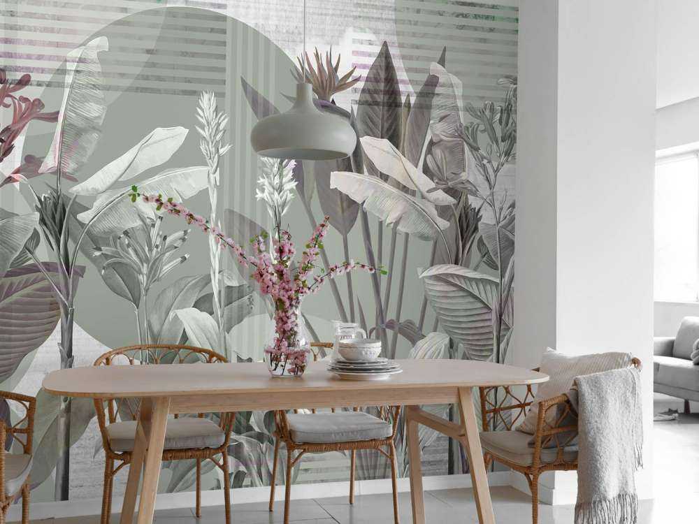 Dreams and Tropics 2