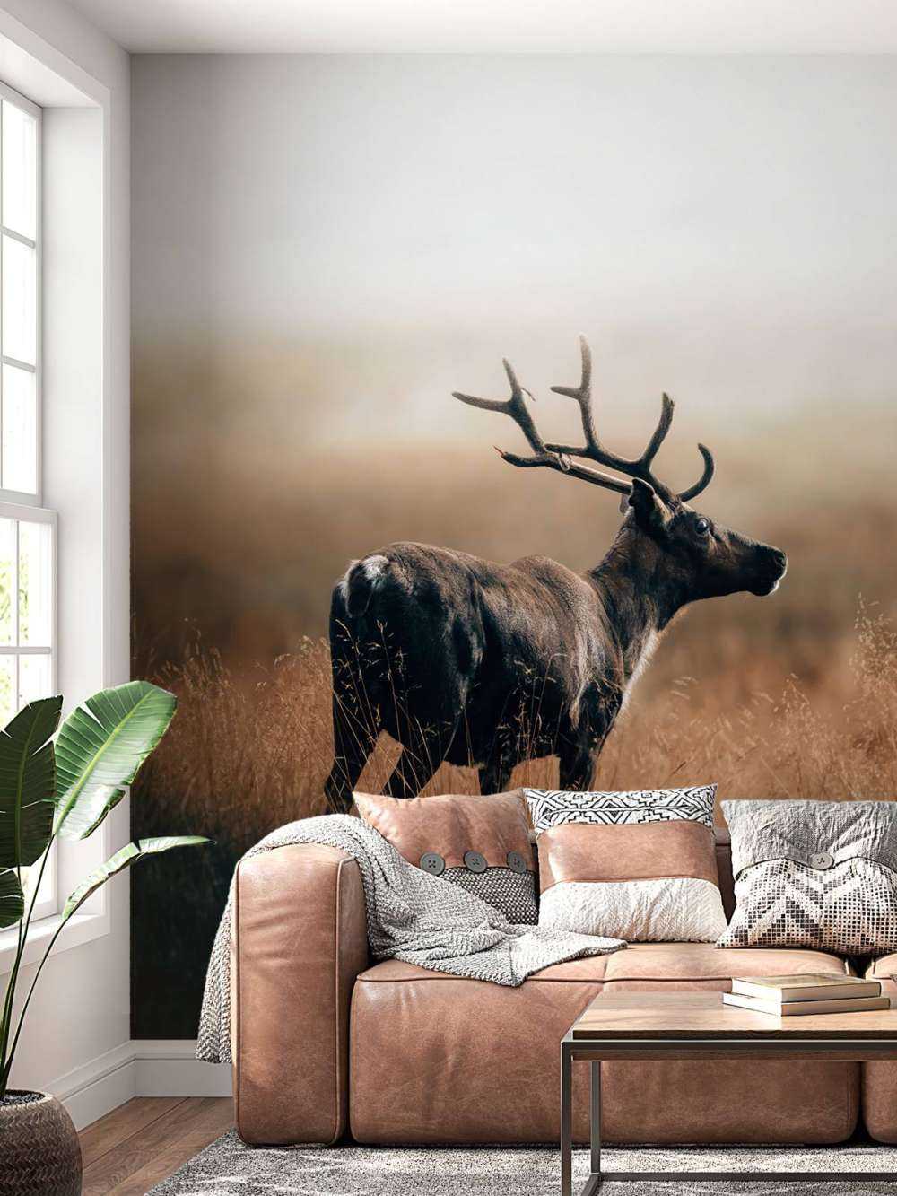 Renne nell'erba alta