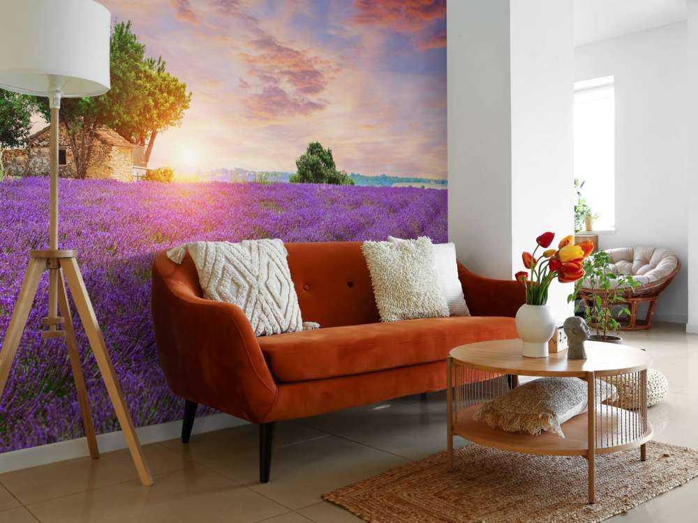 Campo di lavanda all'alba