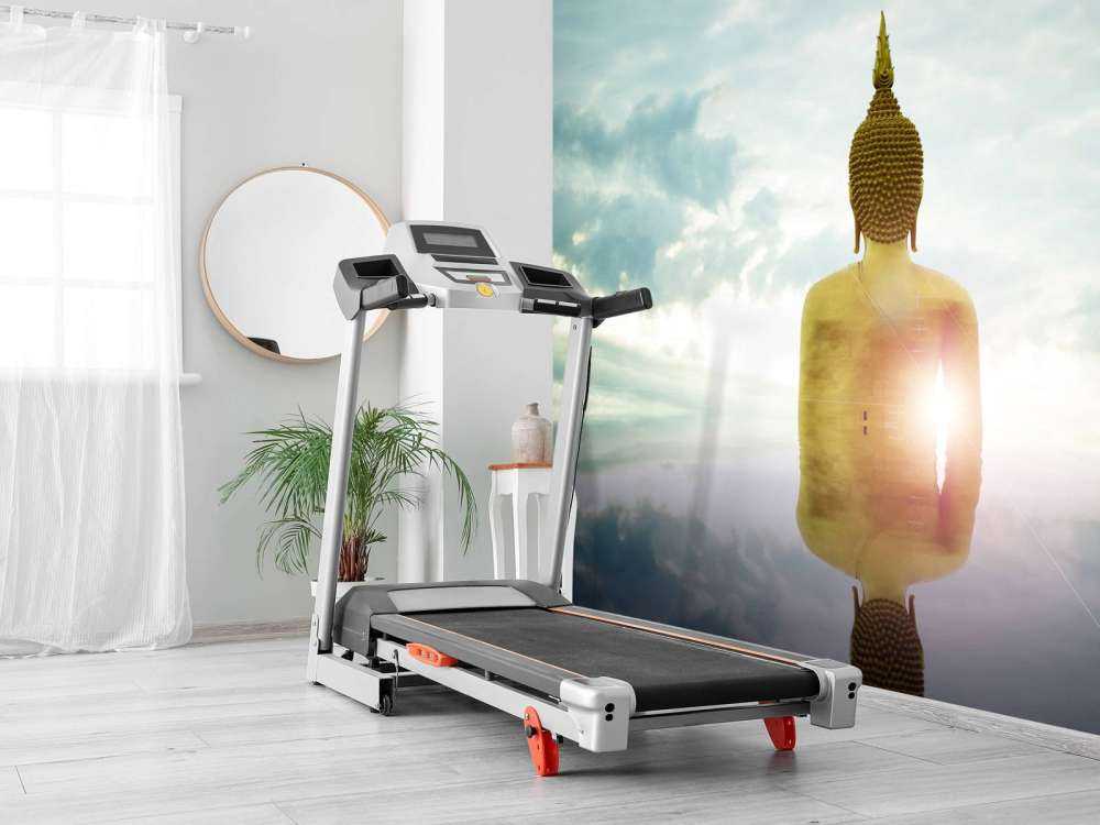 Grande statua di Buddha