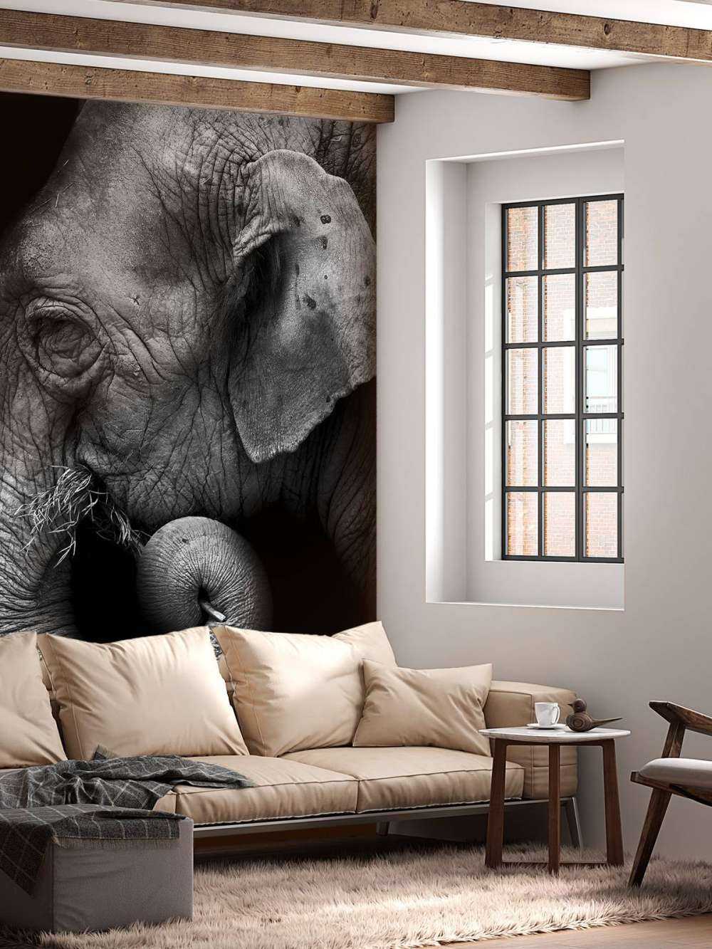 Ritratto di elefante