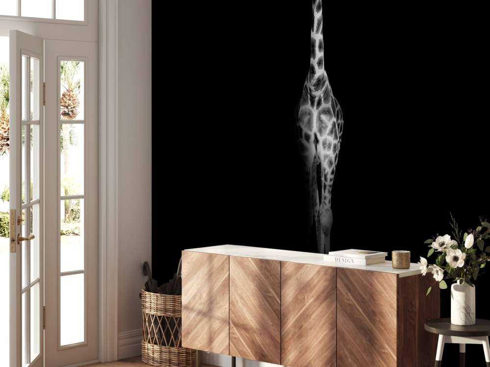 Giraffa in bianco e nero