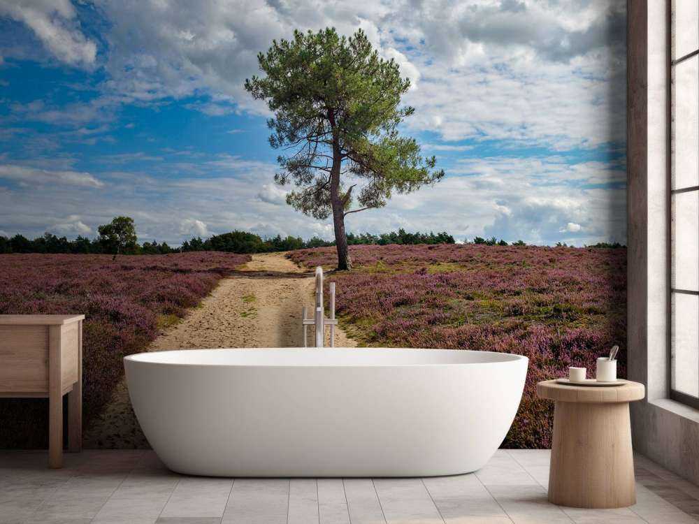 Albero nella brughiera