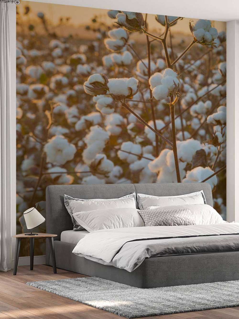 Campo di cotone con cielo giallo dorato