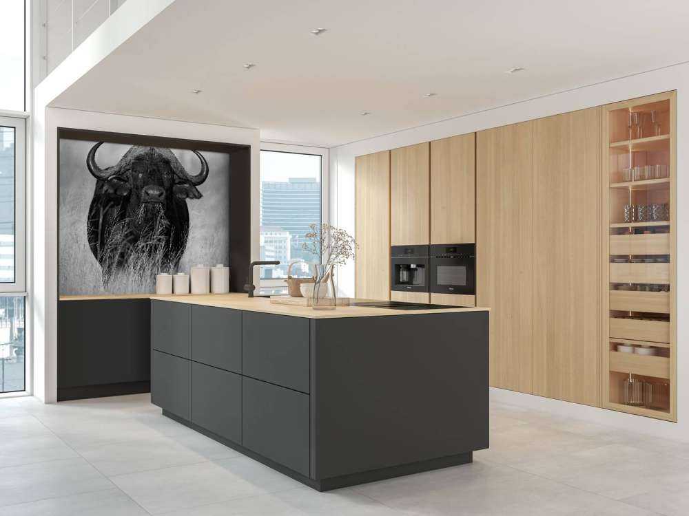 Bufalo in bianco e nero