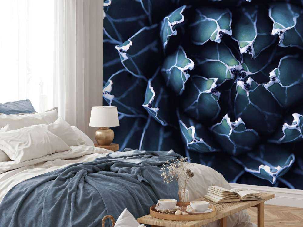 Succulenta blu scuro