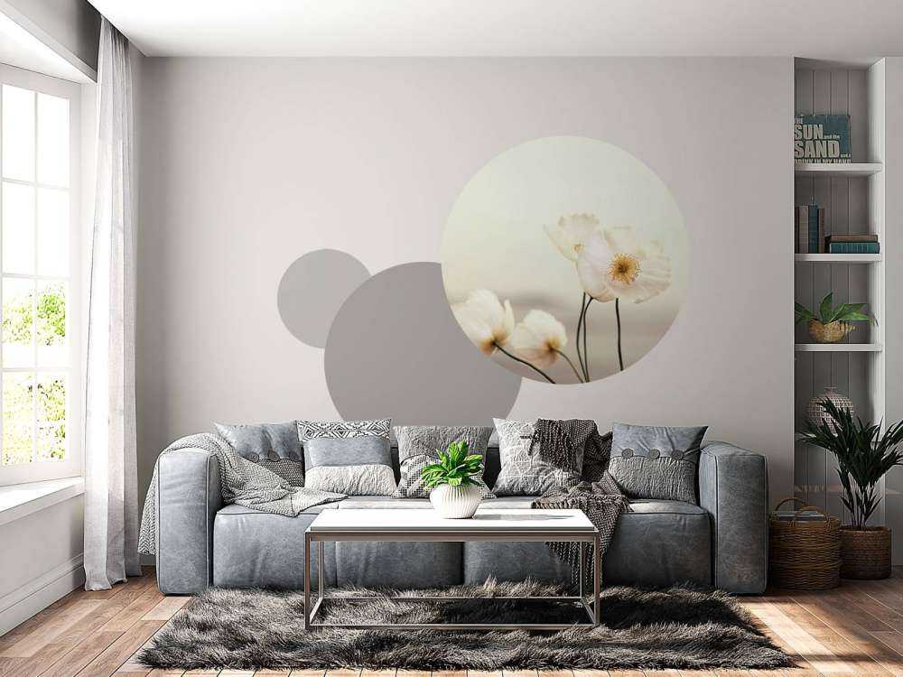 Papaveri bianchi in primo piano