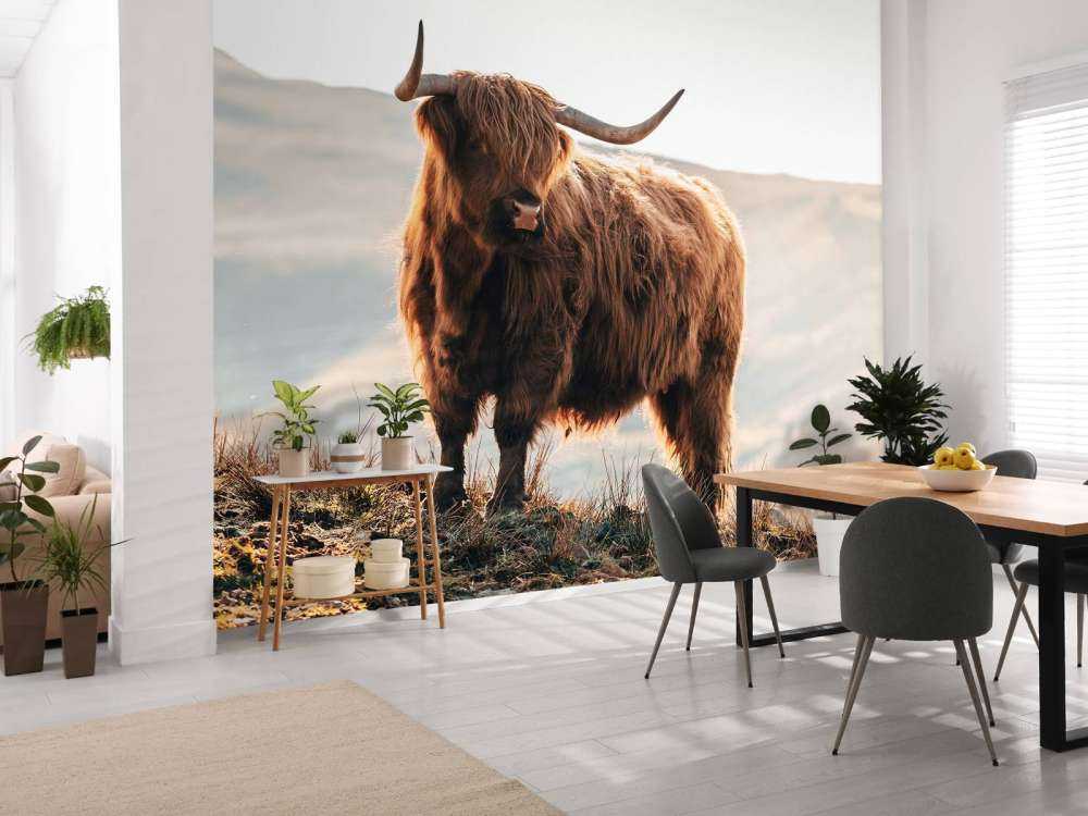 Highlander scozzese su una collina