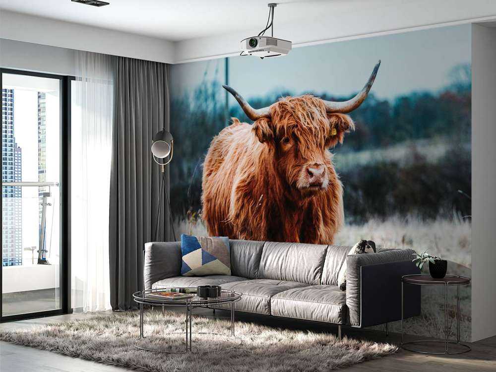 Highlander scozzese nella foresta