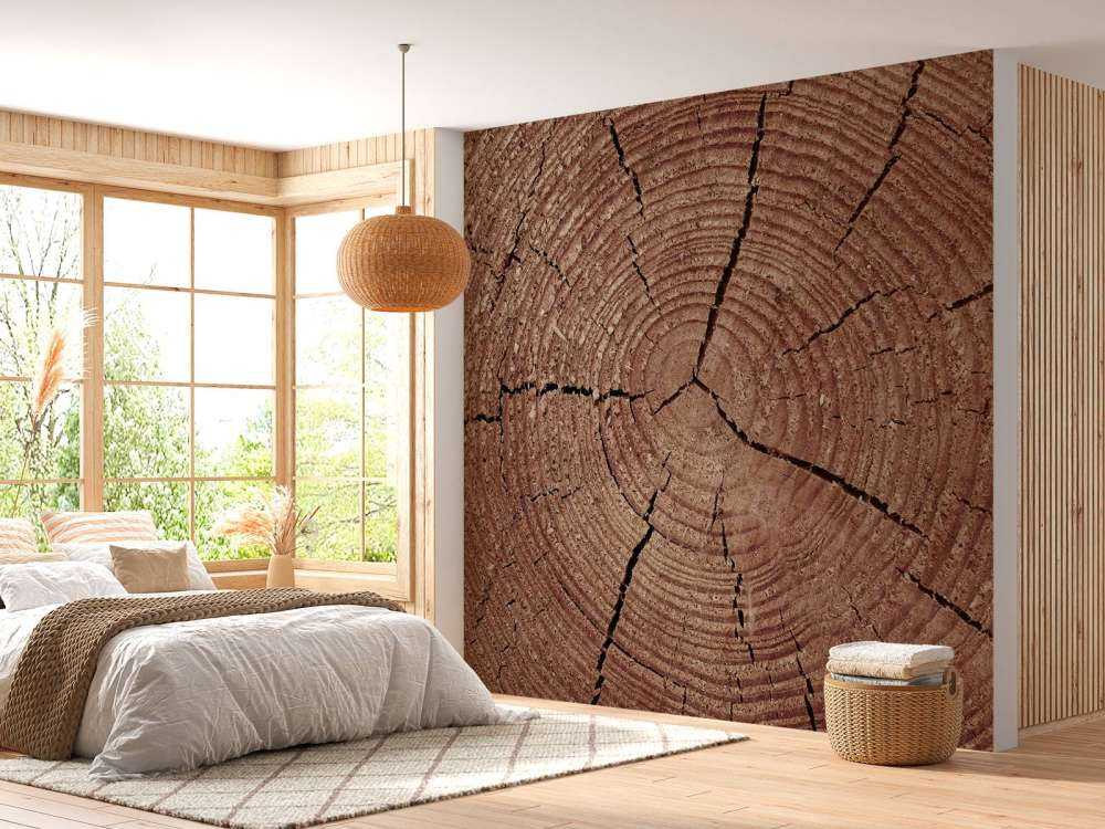 Tronco con anelli annuali