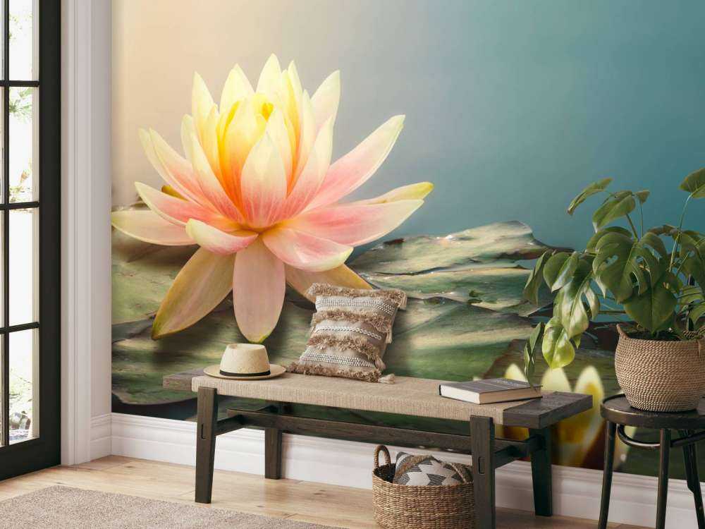 Stagno con fiori di loto