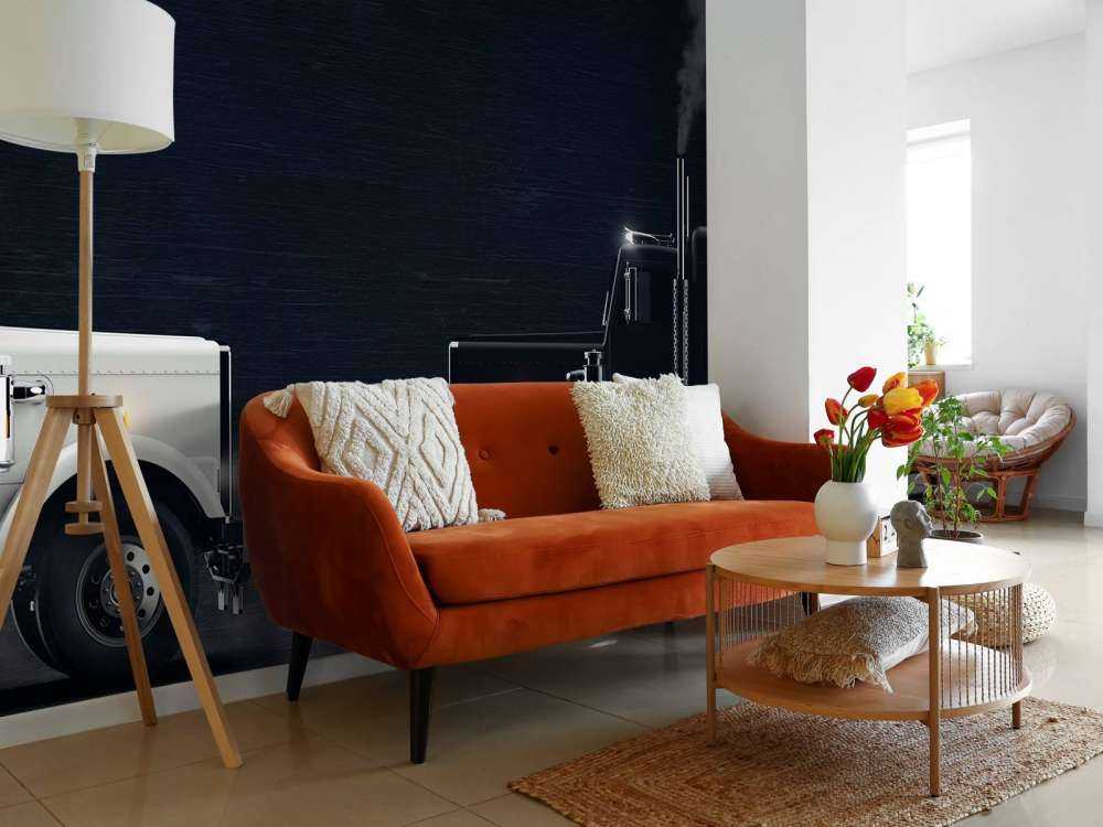 Camion bianco e nero