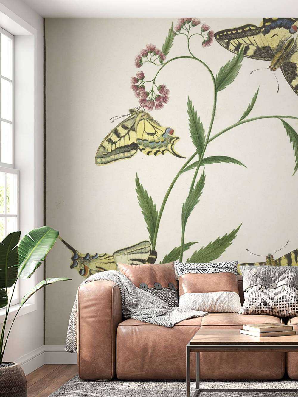 Quattro farfalle sui fiori, Paulus Knogh