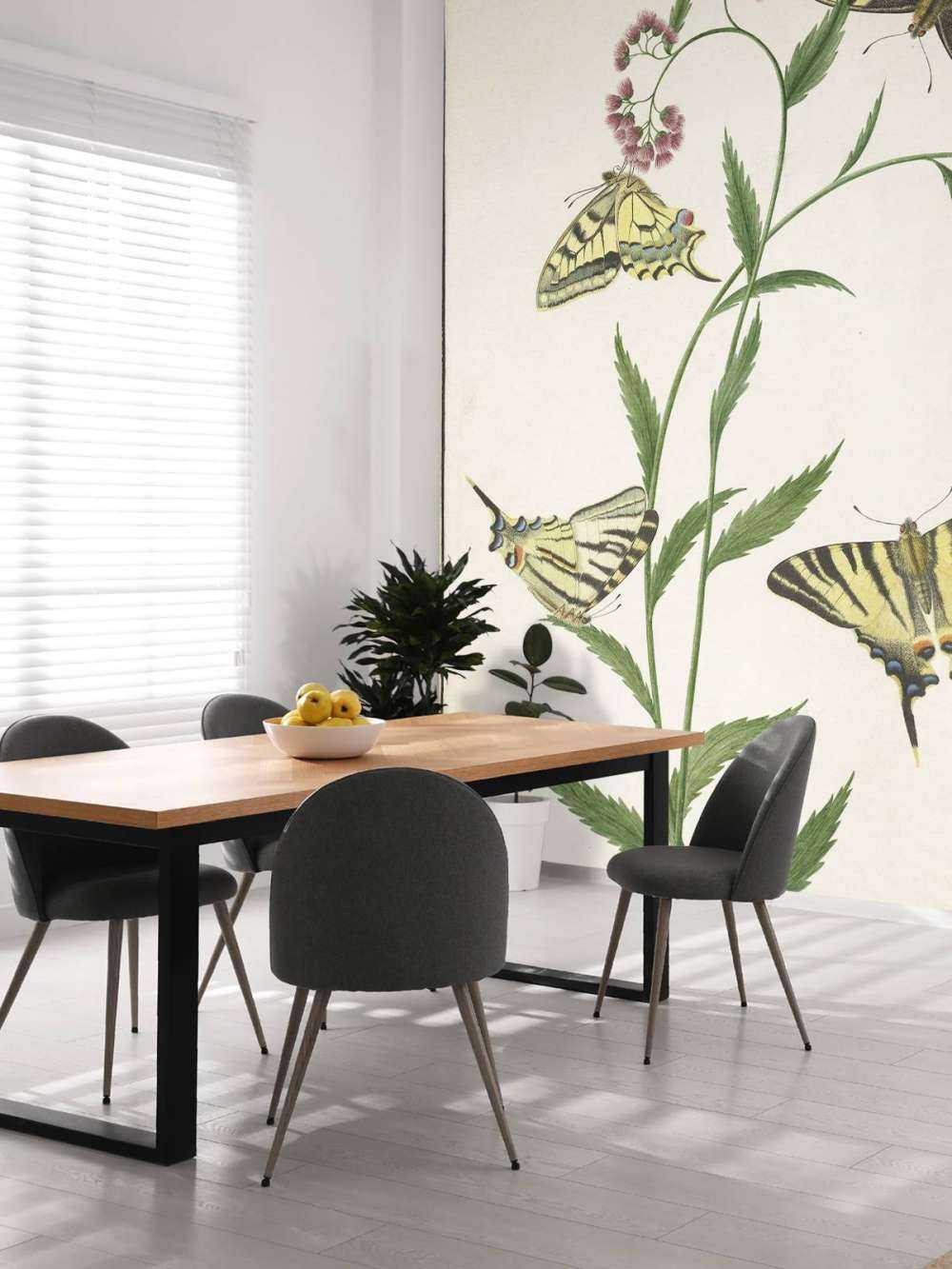 Quattro farfalle sui fiori, Paulus Knogh