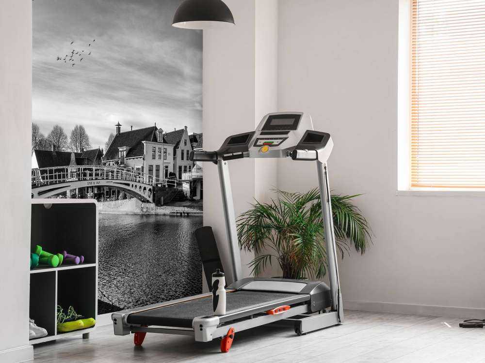 Città fortificata Dokkum Ponte sul Klein Diep Frisia 