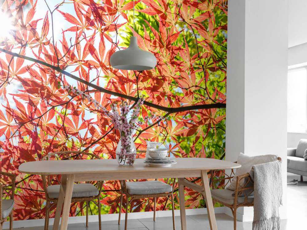 Foglie rosse d'autunno