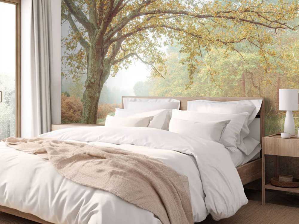 Lago nella foresta autunnale